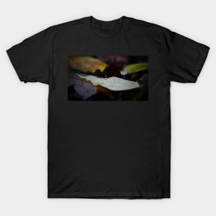 Tiny Mushroom T-Shirt